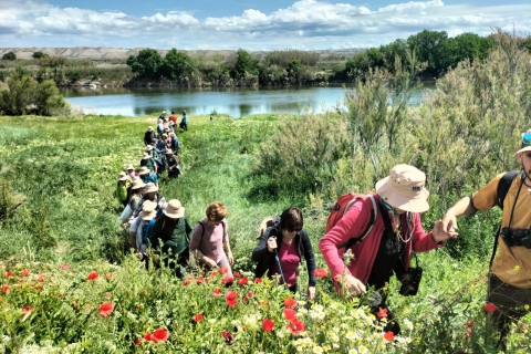 JORNADAS  PÚBLICAS LIFE EBRO RESILIENCE - Rutas guiadas 