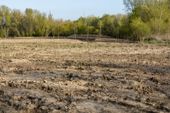 09-Plantación