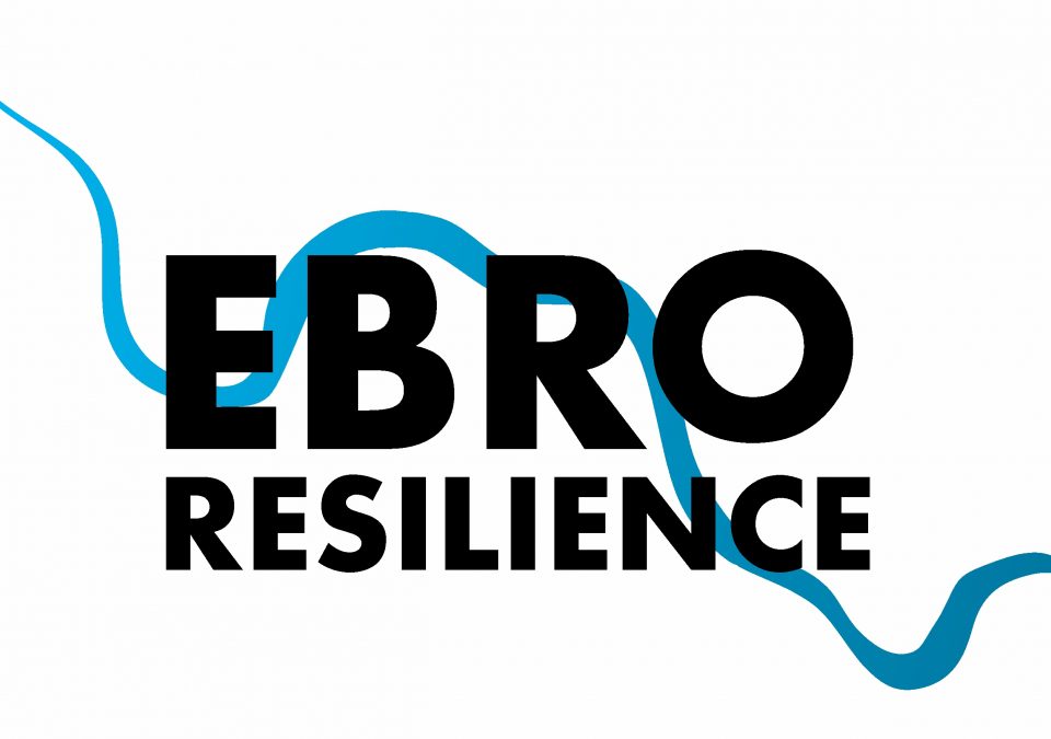 Descubre Ebro Resilience, una Estrategia destinada a la implementación del Plan de Gestión de Riesgos de Inundación en el tramo medio del Ebro y a la mejora del estado ecológico del río.