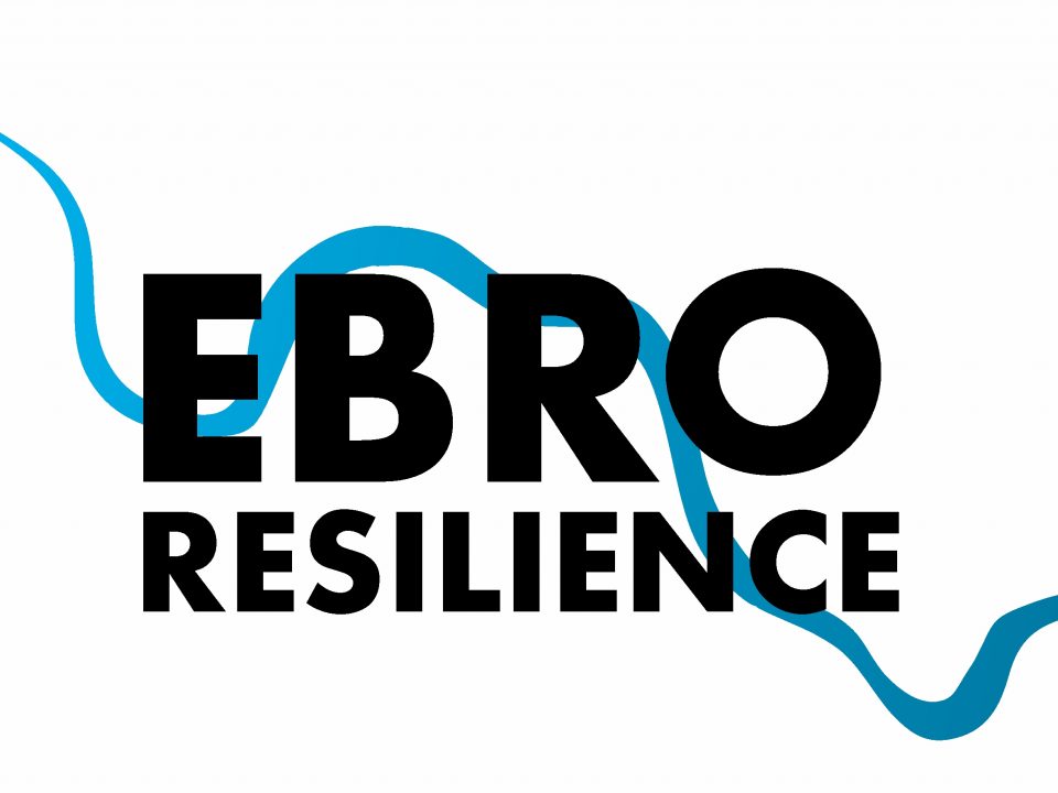 Descubre Ebro Resilience, una Estrategia destinada a la implementación del Plan de Gestión de Riesgos de Inundación en el tramo medio del Ebro y a la mejora del estado ecológico del río.