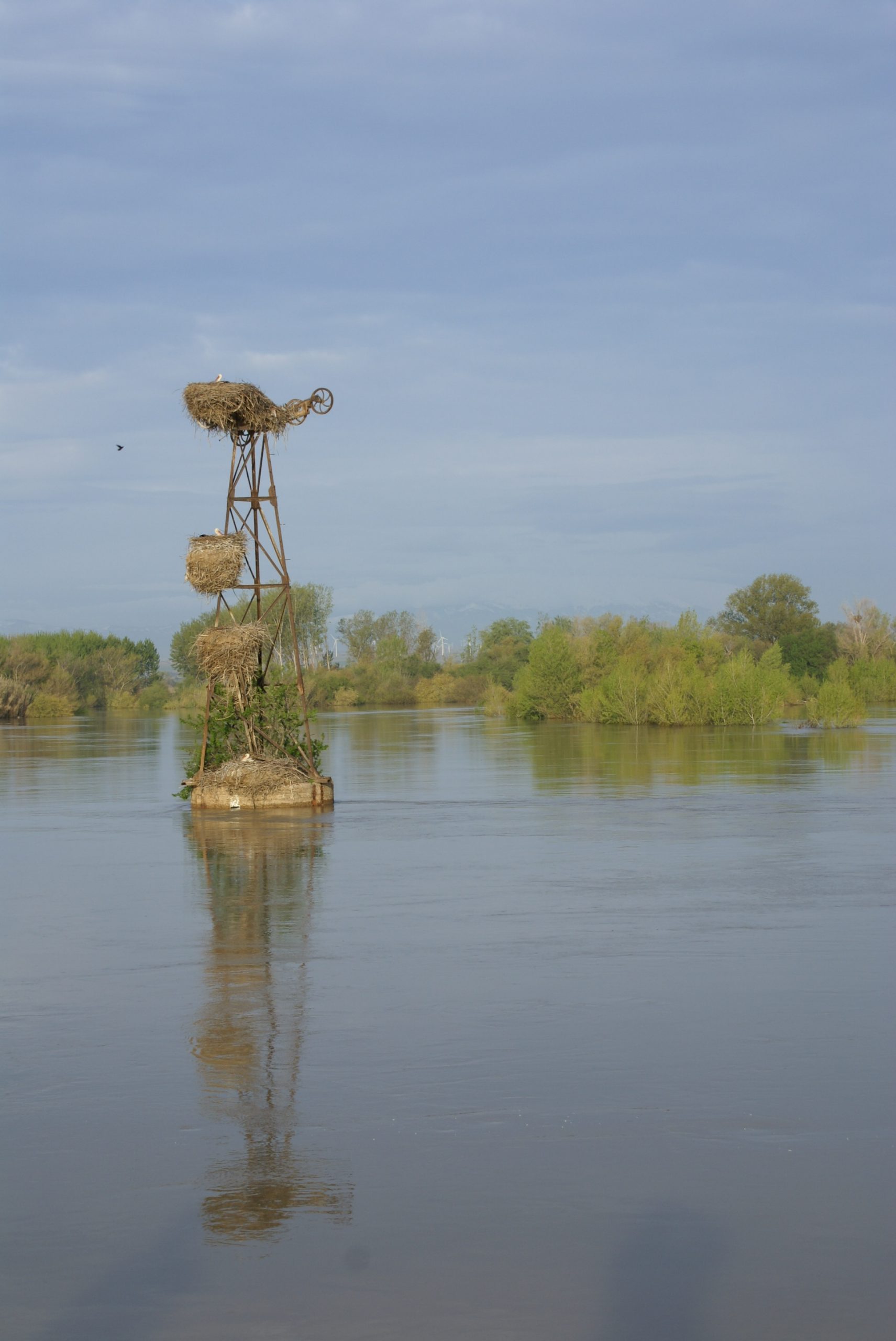 Pilastra Alcalá de Ebro