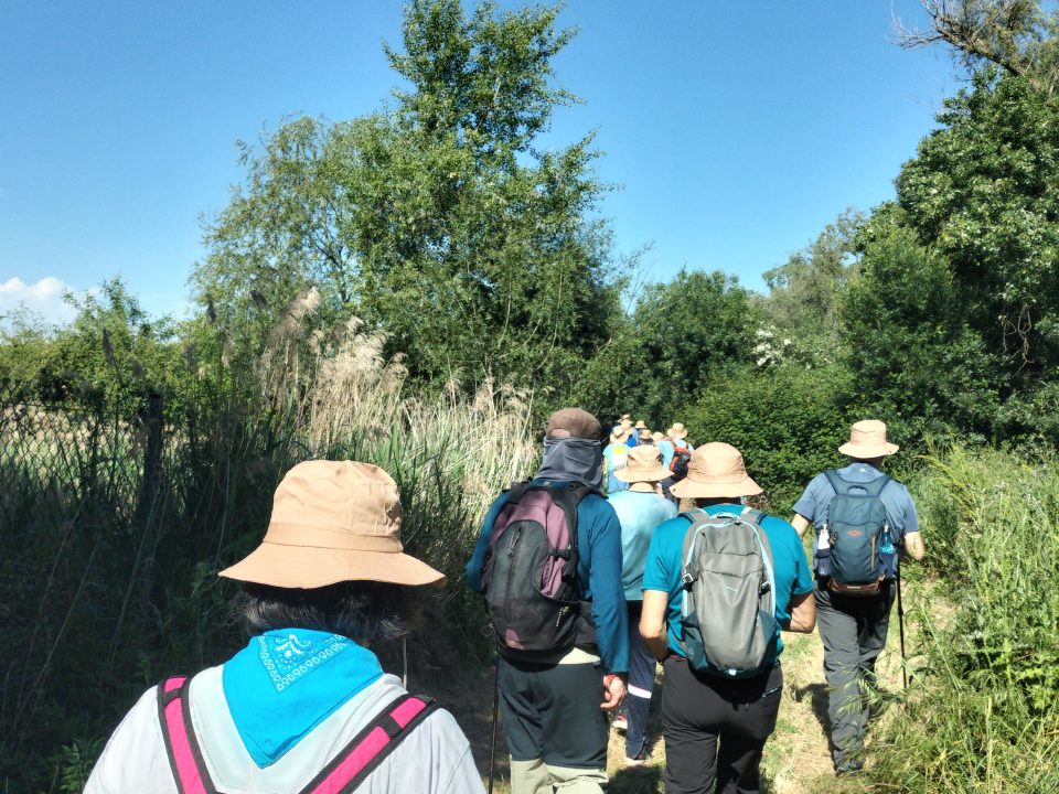 Walking Rivers. Ruta realizada por el Proyecto LIFE Ebro Resilience P1 entre los meandros de El Señorío y La Roza, integrándose en la experiencia mundial de caminar los ríos.